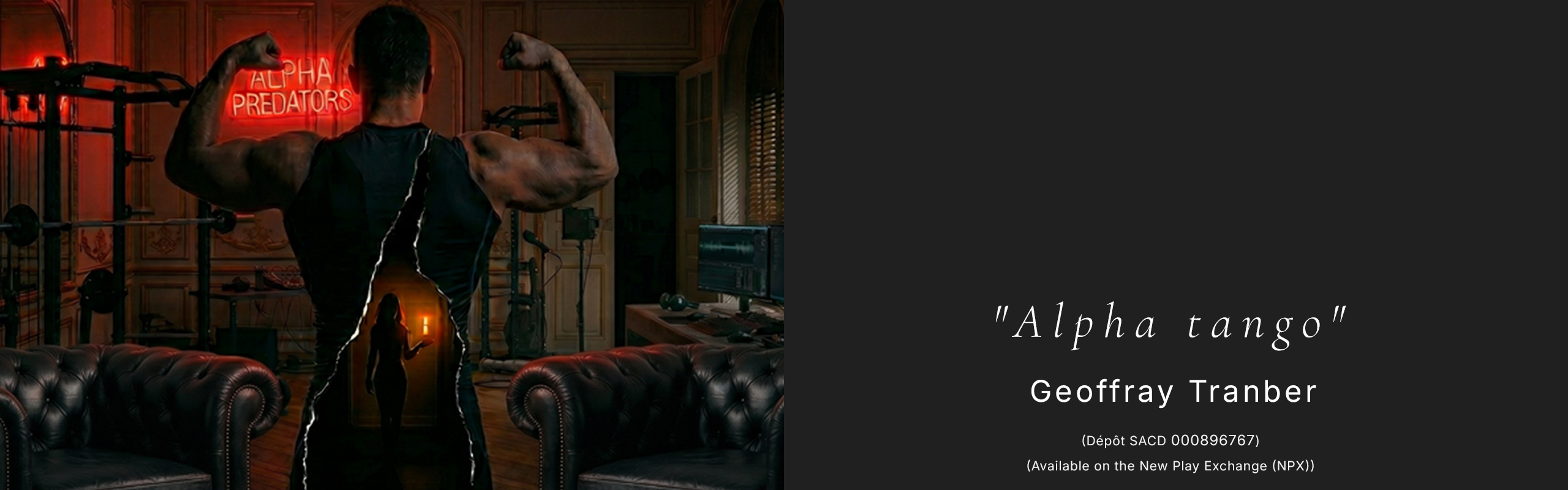 Alpha Tango banner, desktop version