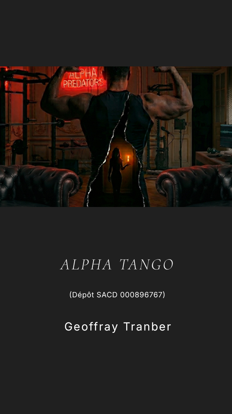 Bandeau Alpha tango version mobile